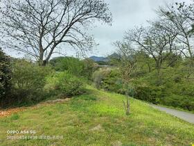 長野県諏訪郡富士見町境信濃境