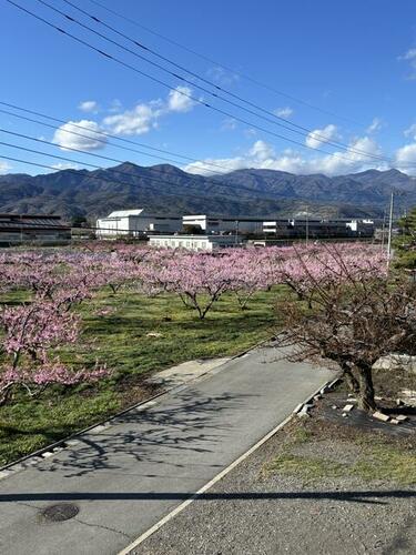 detached 山梨県甲州市勝沼町綿塚
