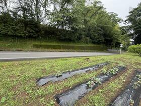大分県豊後大野市三重町秋葉