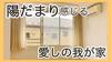 フェアロージュ世田谷弦巻 2階 築25年2ヶ月の賃貸物件