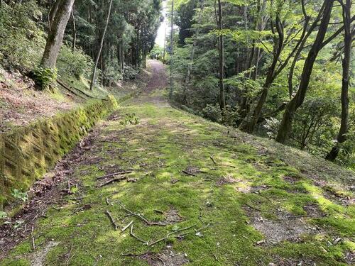 Land, 和歌山県 有田郡有田川町