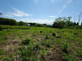 山梨県北杜市長坂町白井沢