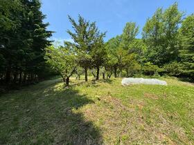 北海道札幌市南区藤野