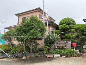 Image 13