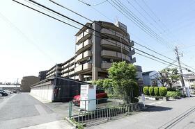大阪府東大阪市新池島町３丁目