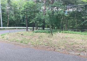 福島県安達郡大玉村玉井字守谷山