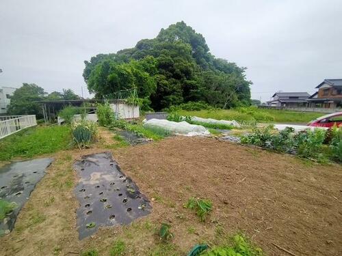 Land, Tone Town, Ibaraki