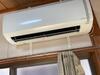  築36年6ヶ月 1階建の賃貸物件