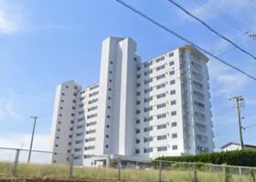 和歌山県西牟婁郡白浜町椿