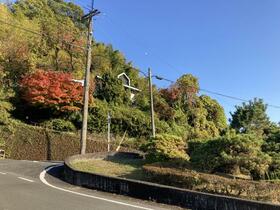 熊本県熊本市西区池田４丁目