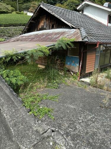 Image 24