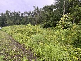 山梨県南都留郡富士河口湖町勝山