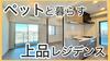 プレディアコート三軒茶屋 2階 新築の賃貸物件
