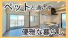 プレディアコート三軒茶屋の賃貸物件