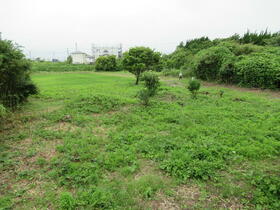 千葉県いすみ市岬町和泉