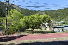 東京都西多摩郡奥多摩町氷川