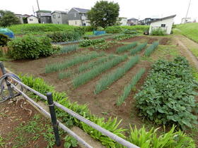 Image 16