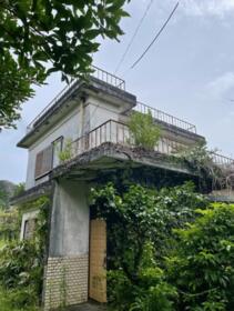東京都八丈島八丈町三根