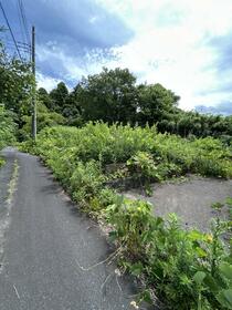 茨城県稲敷市江戸崎甲