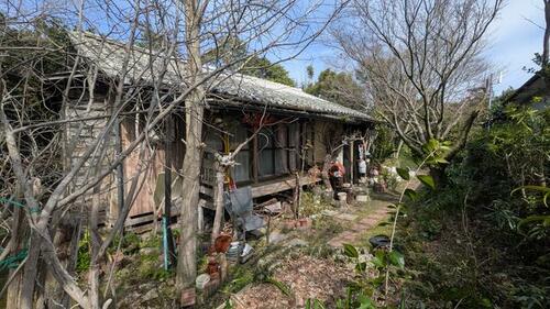 Land, 鹿児島県 日置市