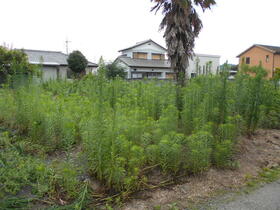 群馬県藤岡市小林