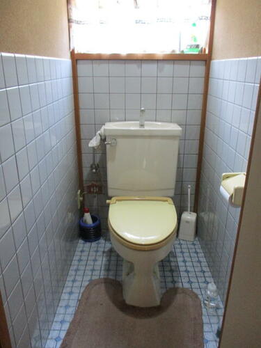 Image 12