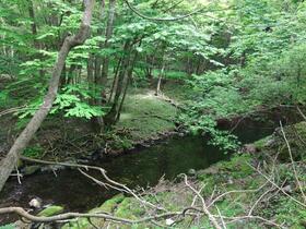 岩手県遠野市上郷町細越４１地割