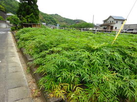 大分県佐伯市大字鶴望