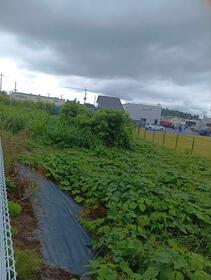 栃木県小山市大字粟宮