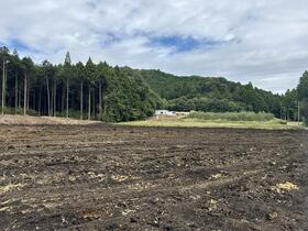 栃木県宇都宮市上小池町