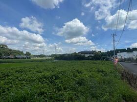 千葉県山武郡芝山町新井田