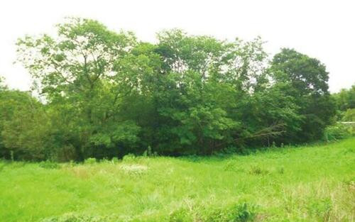 Land, 愛知県 豊橋市