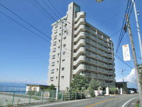センシブル淡島