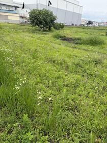 大阪府堺市東区八下町３丁