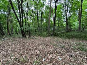 山梨県北杜市高根町下黒澤