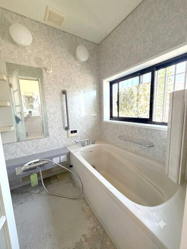 Image 13