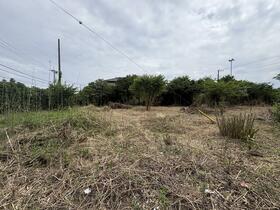 千葉県香取市大根