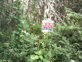 滋賀県高島市マキノ町西浜