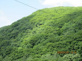 北海道余市郡赤井川村字明治