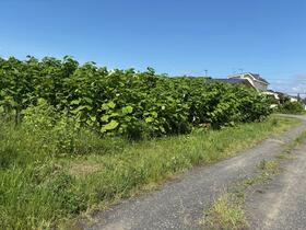 北海道岩内郡岩内町字相生