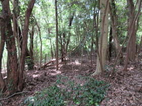兵庫県洲本市上内膳