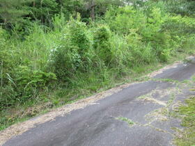 奈良県奈良市上深川町