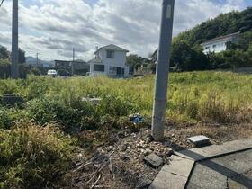 静岡県浜松市浜名区三ヶ日町津々崎