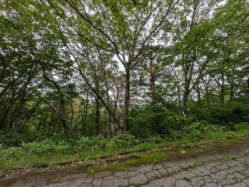 土地, 長野県 上水内郡信濃町