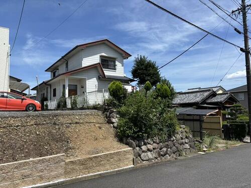 Image 13