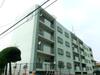 井堀南団地１棟 4階 築51年5ヶ月の賃貸物件