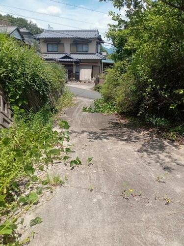 Image 14