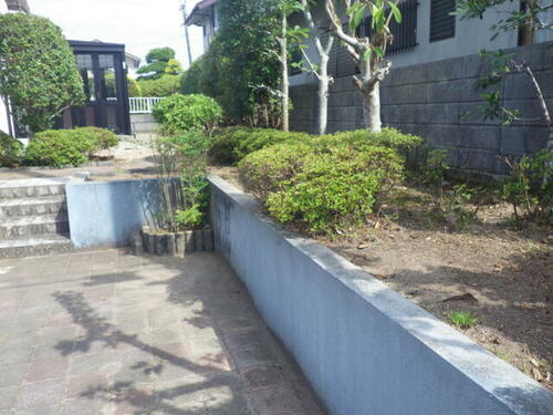 Image 6