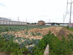 茨城県古河市高野