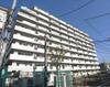 グリーンパーク金町 10階 築42年4ヶ月の賃貸物件